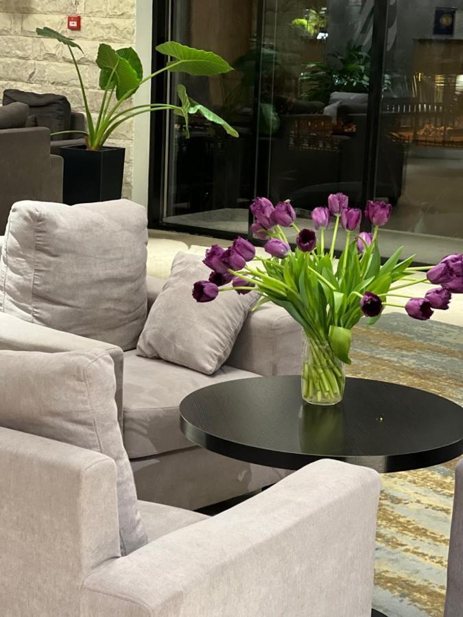 Abaash Hotel Afon New Athos 외부 사진
